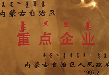 内蒙古ag真人平台官方集团有限公司